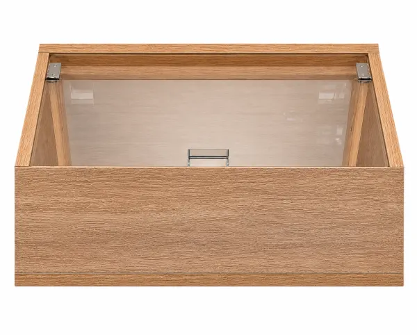 Sloping display case ZV-09