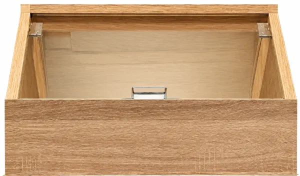 Sloping display case ZV-11
