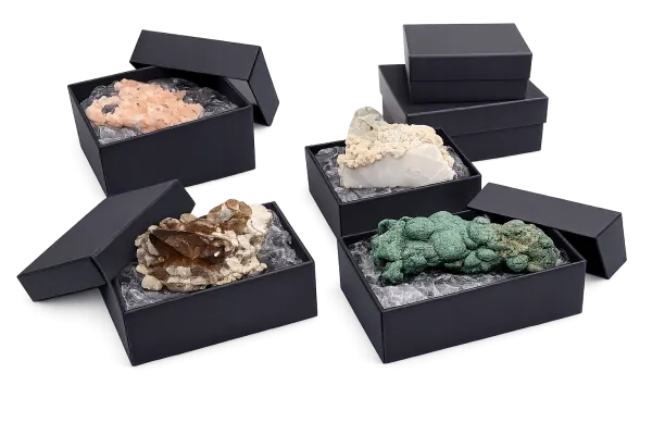 Boxes with lid