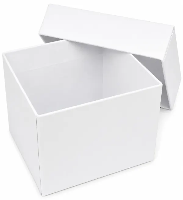 Box with lid K12 BI