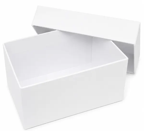 Box with lid K09 BI
