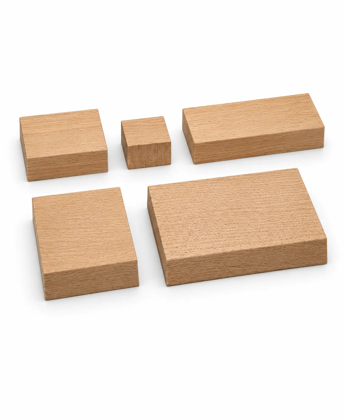 Beech stands