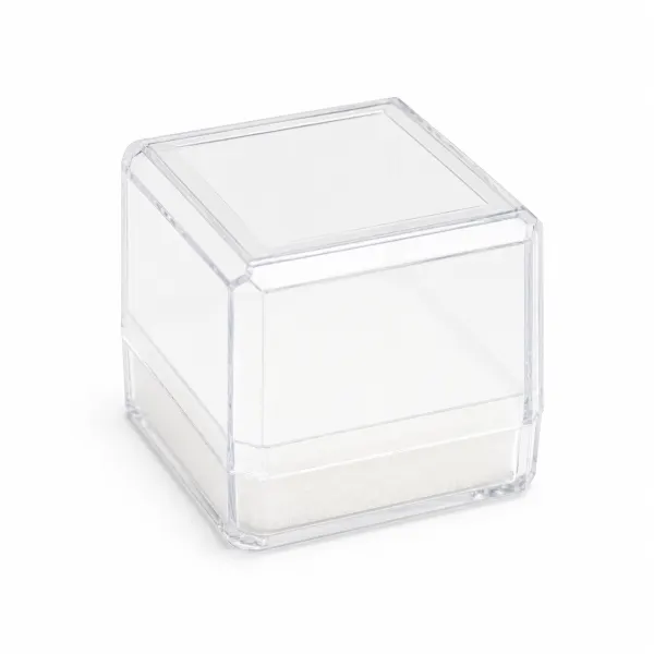 Plastic box DZ01 clear