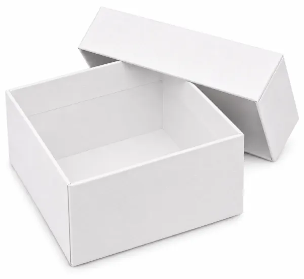 Box with lid K06 BI